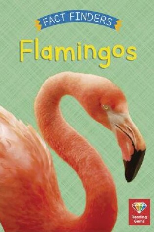 Cover of Flamingos