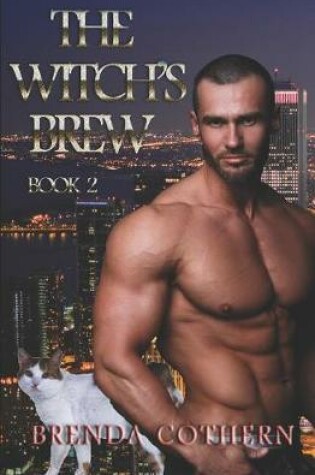 Cover of The Witch's Brew 2