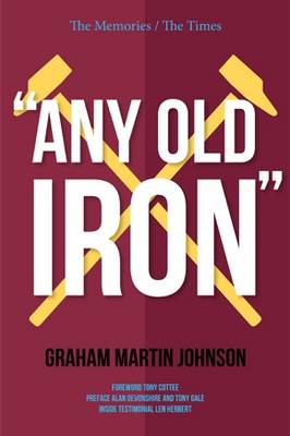 Book cover for Any Old Iron