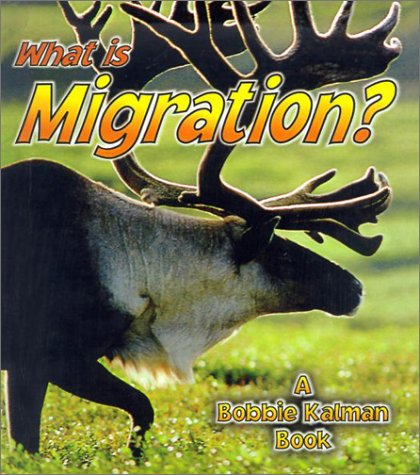 Book cover for What is Migration