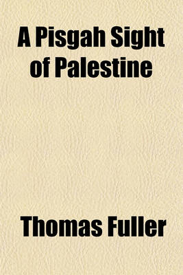 Book cover for A Pisgah Sight of Palestine