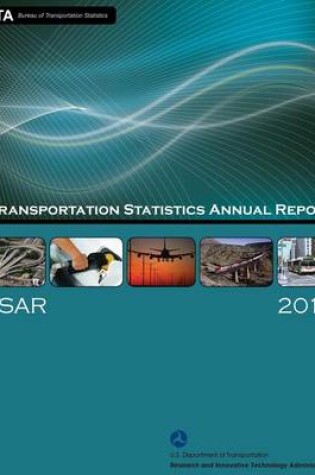 Cover of Transportation Statistics Annual Report 2010