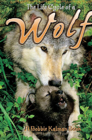 Cover of Wolf