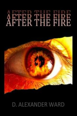 Cover of After the Fire