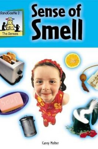 Cover of Sense of Smell eBook