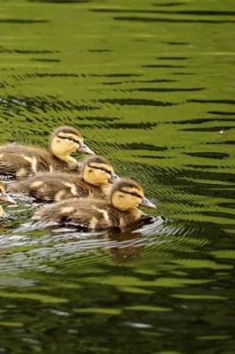 Cover of Ducklings Notebook