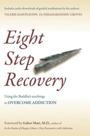 Cover of Eight Step Recovery