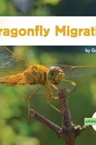 Cover of Dragonfly Migration