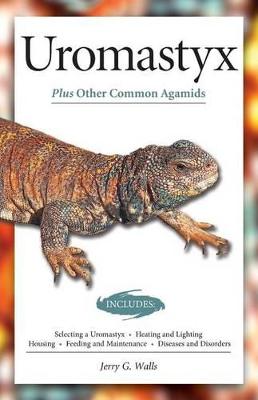 Book cover for Uromastyx (Advanced Vivarium Systems)