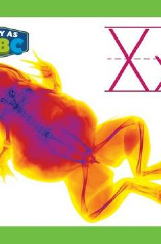 Cover of XX