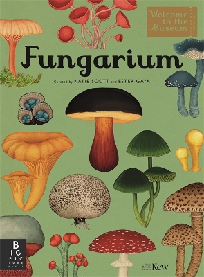 Book cover for Fungarium