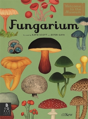 Cover of Fungarium