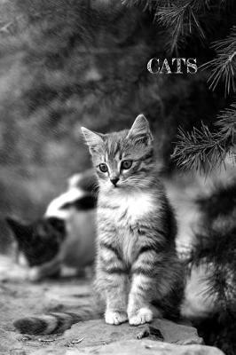 Book cover for Cats