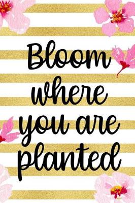 Book cover for Bloom Where You Are Planted