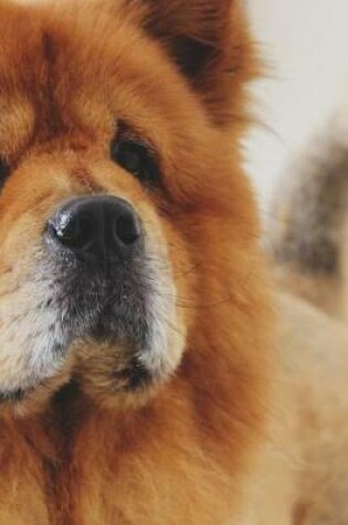 Cover of Cute Chow Chow Dog Journal