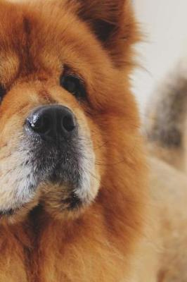 Book cover for Cute Chow Chow Dog Journal