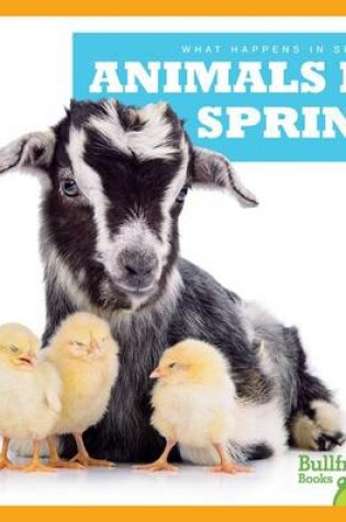 Cover of Animals in Spring