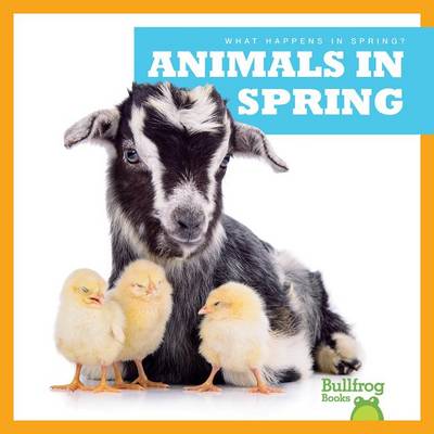 Book cover for Animals in Spring