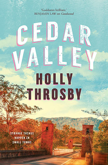 Book cover for Cedar Valley