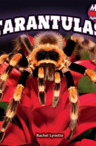 Cover of Tarantulas