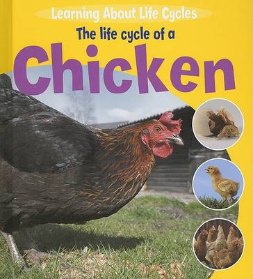 Book cover for The Life Cycle of a Chicken