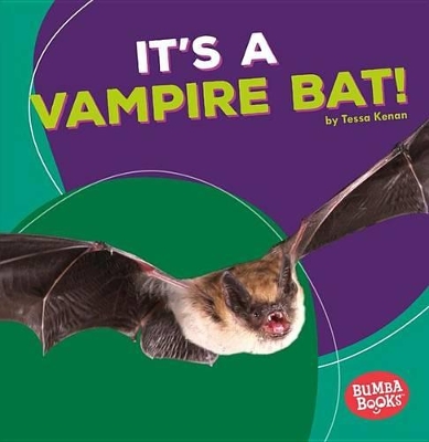 Book cover for It's a Vampire Bat!