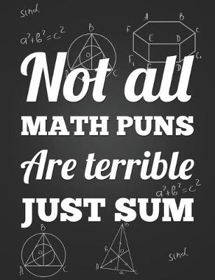 Book cover for Not All Math Puns Are Terrible, Just Sum