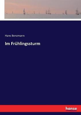 Book cover for Im Frühlingssturm