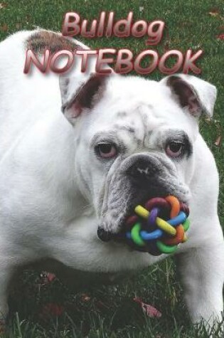 Cover of Bulldog NOTEBOOK