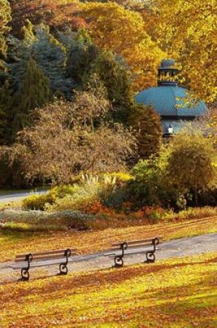 Cover of A Park in the Fall (for the Love of Nature)