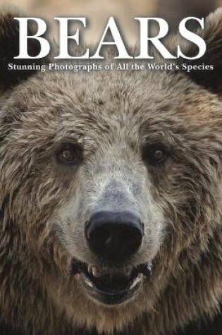 Cover of Bears