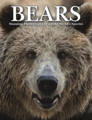 Bears by Tom Jackson