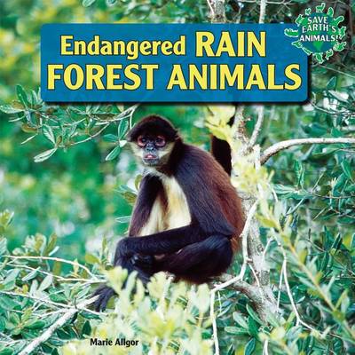 Book cover for Endangered Rain Forest Animals