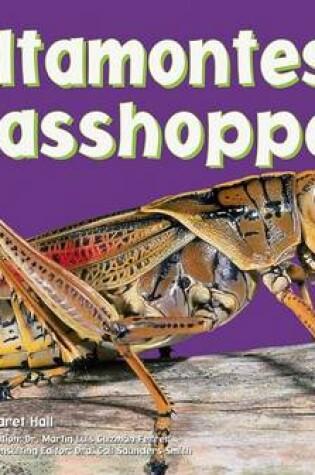 Cover of Saltamontes/Grasshoppers