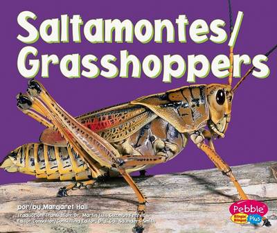 Book cover for Saltamontes/Grasshoppers