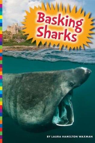 Cover of Basking Sharks