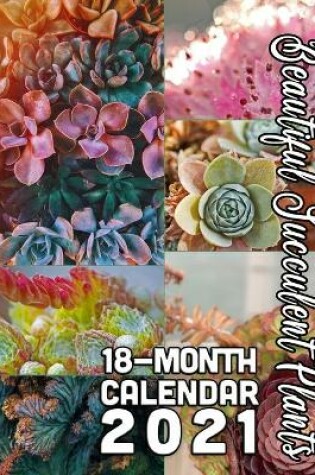 Cover of Beautiful Succulent Plants 18-Month Calendar 2021
