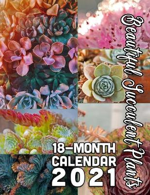 Book cover for Beautiful Succulent Plants 18-Month Calendar 2021