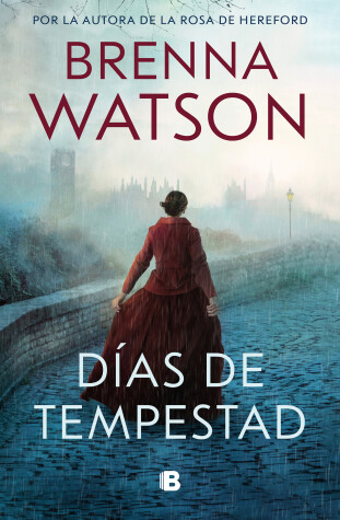 Book cover for Días de tempestad / Days of Tempest