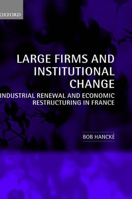 Book cover for Large Firms and Institutional Change