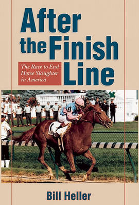 Book cover for After the Finish Line