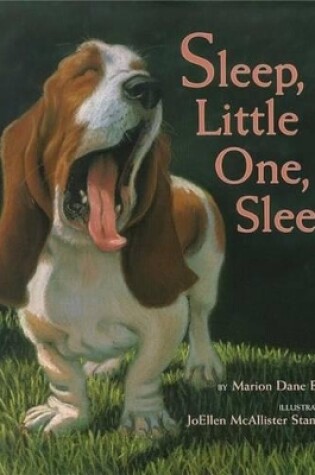 Cover of Sleep, Little One, Sleep