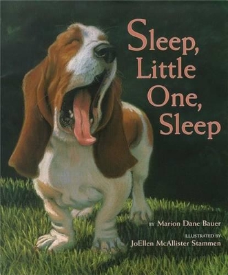 Book cover for Sleep, Little One, Sleep
