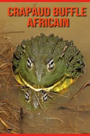 Cover of Crapaud Buffle Africain