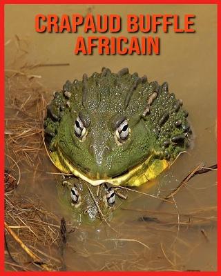 Book cover for Crapaud Buffle Africain