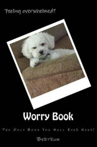 Cover of Worry Book