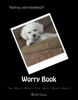 Book cover for Worry Book