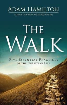 Book cover for The Walk
