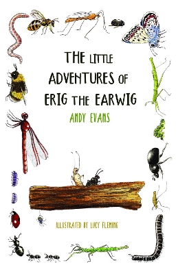 Book cover for The Little Adventures of Erig the Earwig