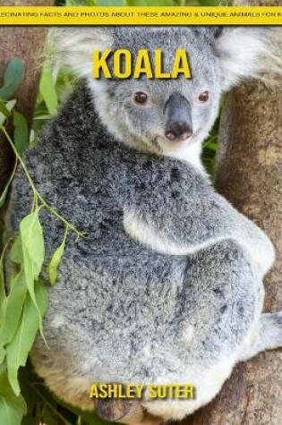 Cover of Koala